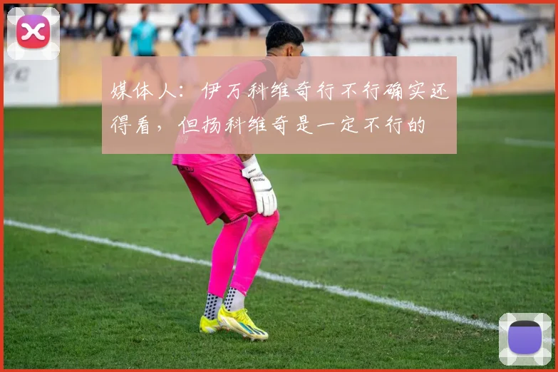媒体人：伊万科维奇行不行确实还得看，但扬科维奇是一定不行的