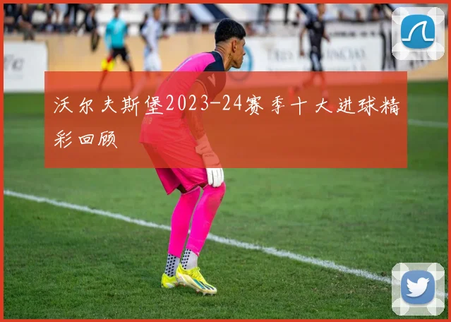 沃尔夫斯堡2023-24赛季十大进球精彩回顾