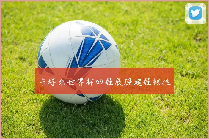 卡塔尔世界杯四强展现超强韧性