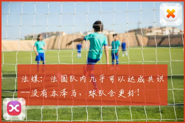 法媒：法国队内几乎可以达成共识--没有本泽马，球队会更好！